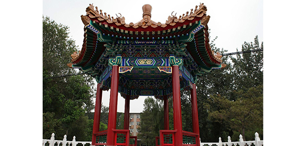 我的大學-大學志