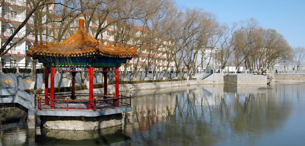 我的大學(xué)-大學(xué)志