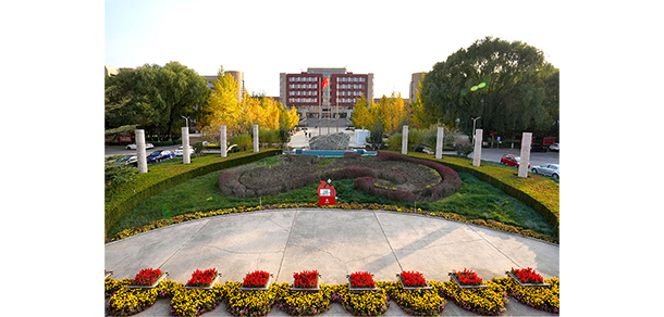 我的大學(xué)-大學(xué)志