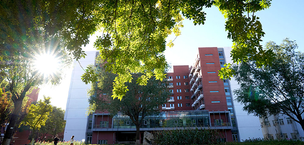 我的大學(xué)-大學(xué)志