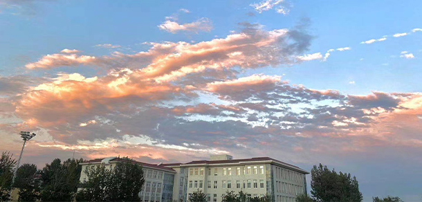 我的大學(xué)-大學(xué)志