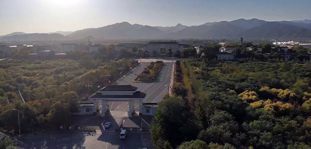 我的大學(xué)-大學(xué)志