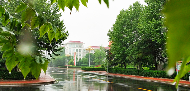 我的大學(xué)-大學(xué)志