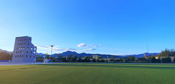 我的大學(xué)-大學(xué)志