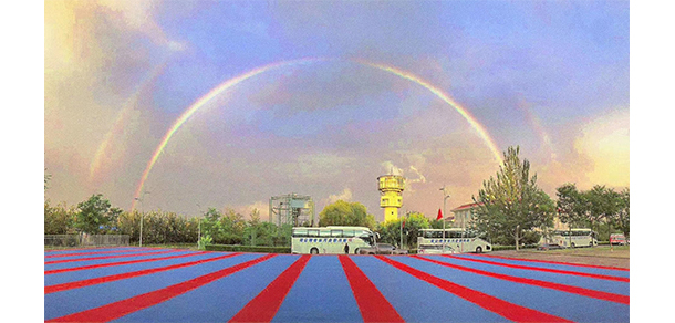 我的大學(xué)-大學(xué)志