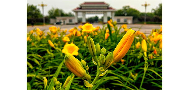 我的大學(xué)-大學(xué)志