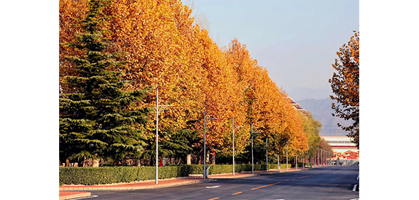 我的大學(xué)-大學(xué)志
