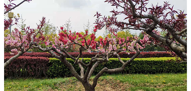 我的大學(xué)-大學(xué)志
