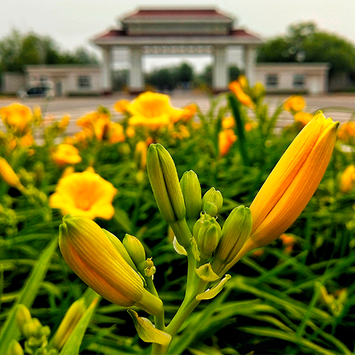 我的大學(xué)