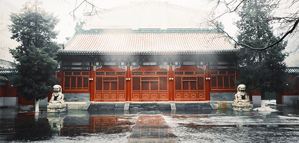 我的大學(xué)-大學(xué)志