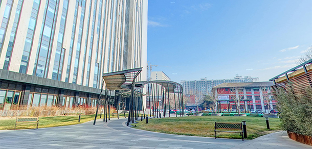 我的大學(xué)-大學(xué)志