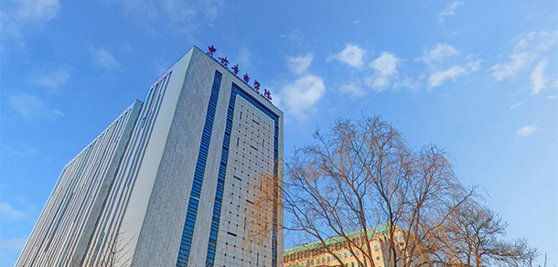 我的大學(xué)-大學(xué)志
