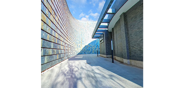 我的大學(xué)-大學(xué)志