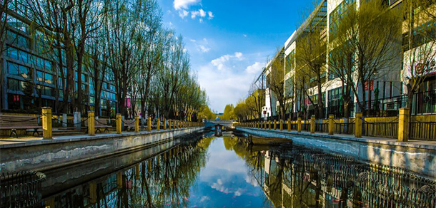 我的大學(xué)-大學(xué)志