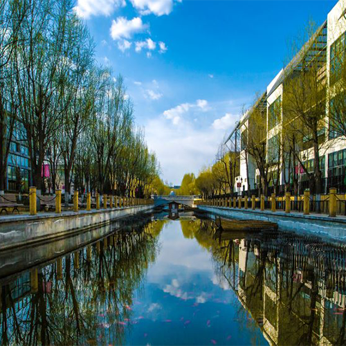 最美大學