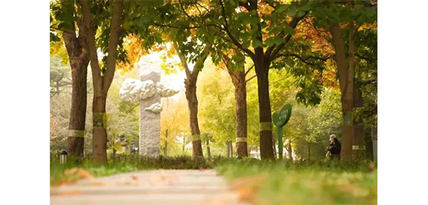我的大學(xué)-大學(xué)志