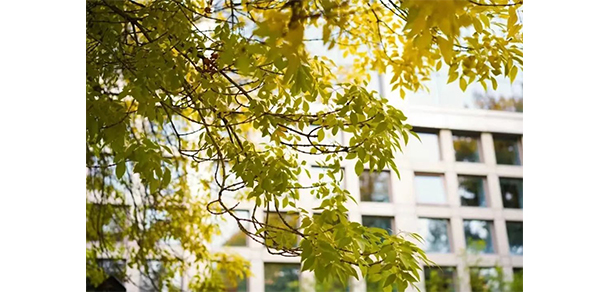 我的大學(xué)-大學(xué)志