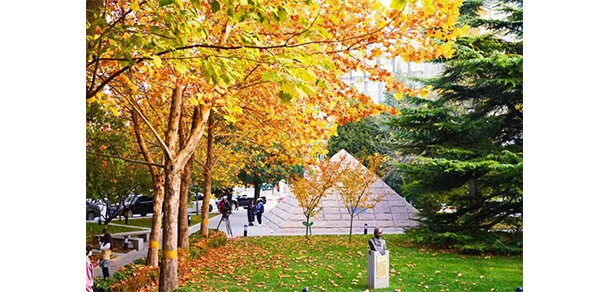 我的大學(xué)-大學(xué)志