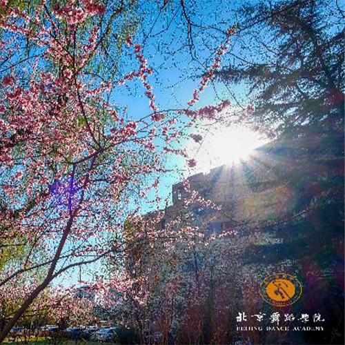 最美大學(xué)