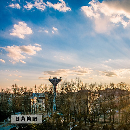我的大學(xué)