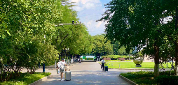 我的大學(xué)-大學(xué)志
