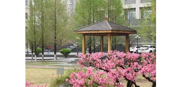 我的大學(xué)-大學(xué)志