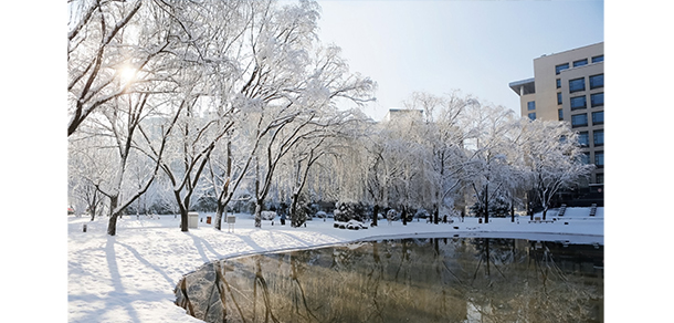 我的大學(xué)-大學(xué)志