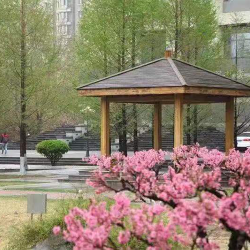 最美大學
