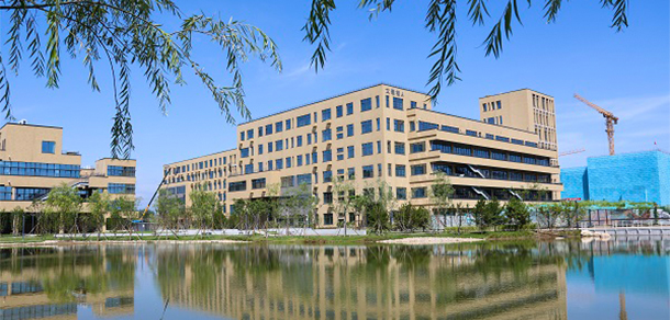 我的大學(xué)-大學(xué)志