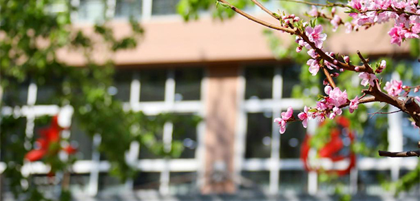 我的大學(xué)-大學(xué)志