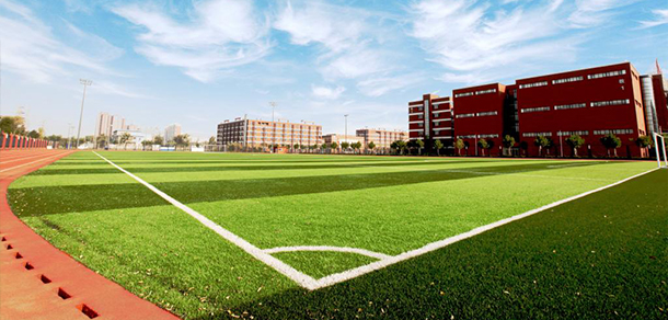 我的大學(xué)-大學(xué)志