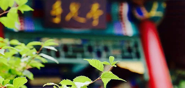 我的大學(xué)-大學(xué)志
