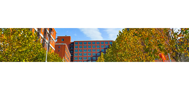 我的大學(xué)-大學(xué)志