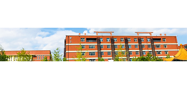 我的大學(xué)-大學(xué)志