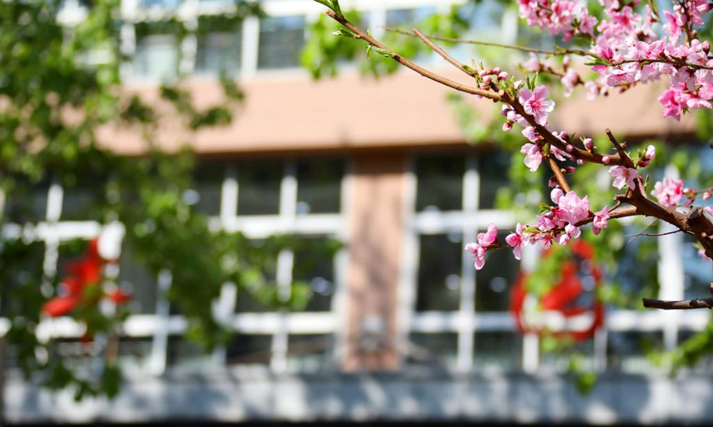 中國最美大學