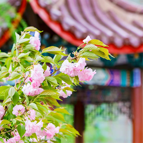 最美校園
