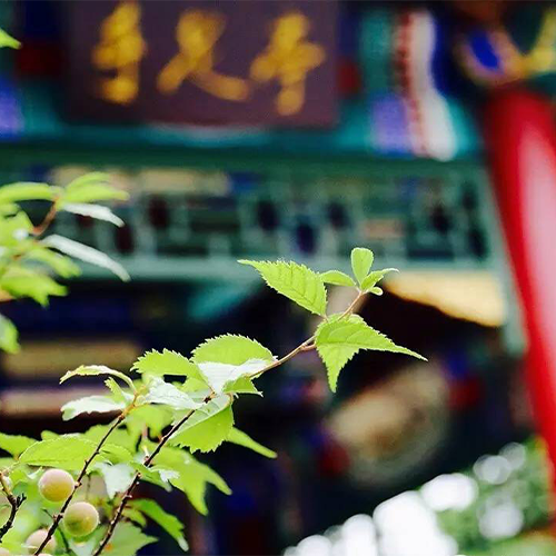 中國礦業(yè)大學(xué)（北京）-大學(xué)文化