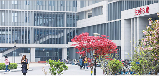 我的大學(xué)-大學(xué)志