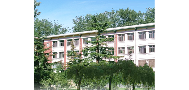 我的大學(xué)-大學(xué)志