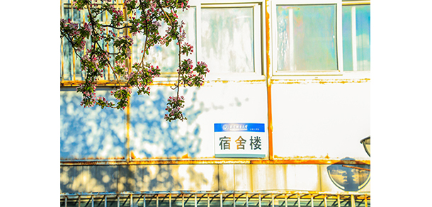 我的大學-大學志