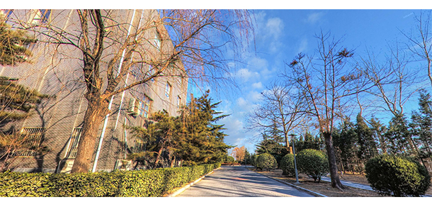 我的大學(xué)-大學(xué)志