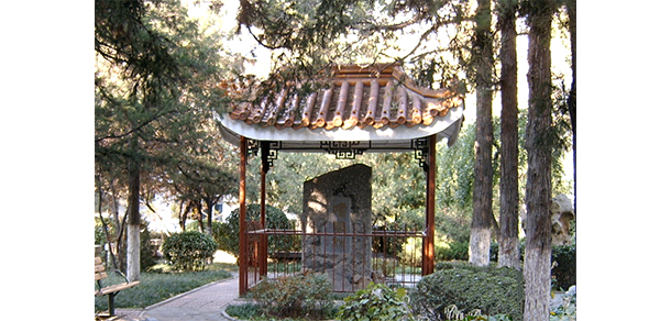 我的大學(xué)-大學(xué)志