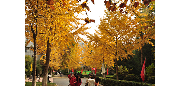 我的大學(xué)-大學(xué)志