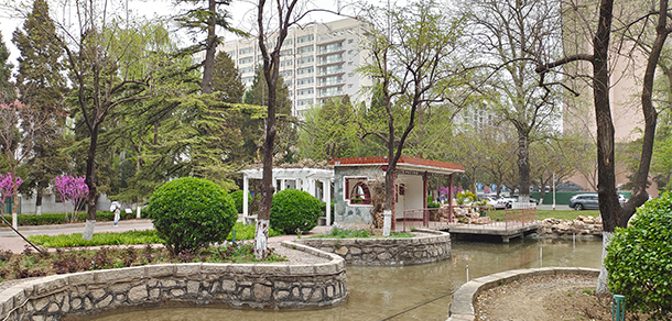 我的大學(xué)-大學(xué)志