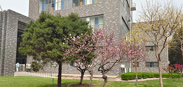 我的大學(xué)-大學(xué)志