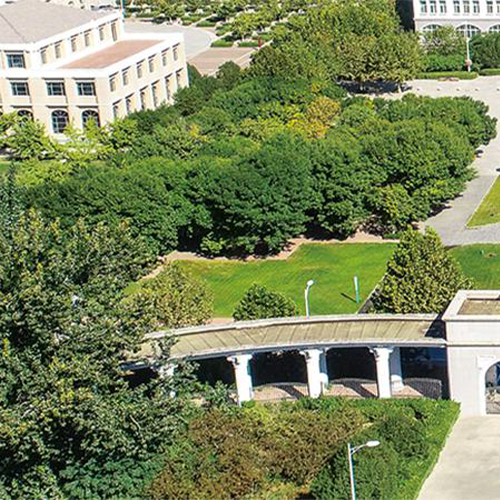 我的大學