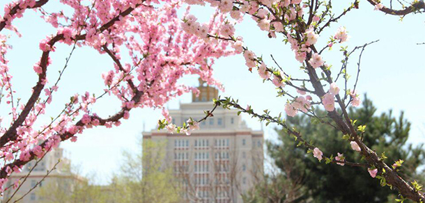 我的大學(xué)-大學(xué)志