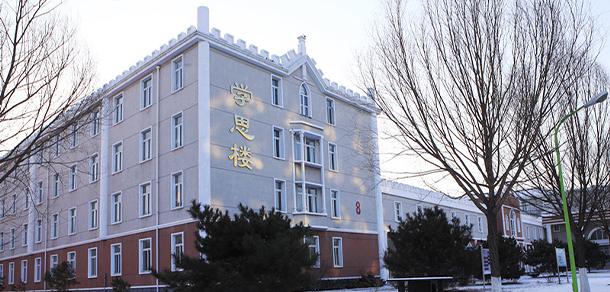 我的大學(xué)-大學(xué)志