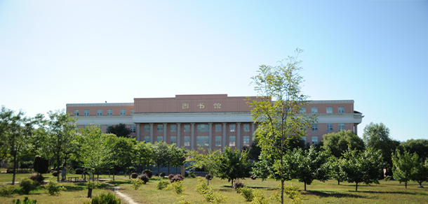 我的大學(xué)-大學(xué)志