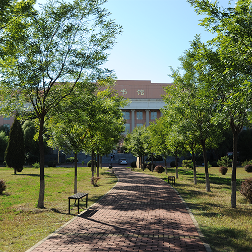最美大學